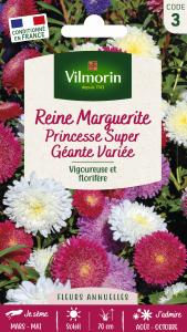 Reine-Marguerite Princesse Super Géante Variée